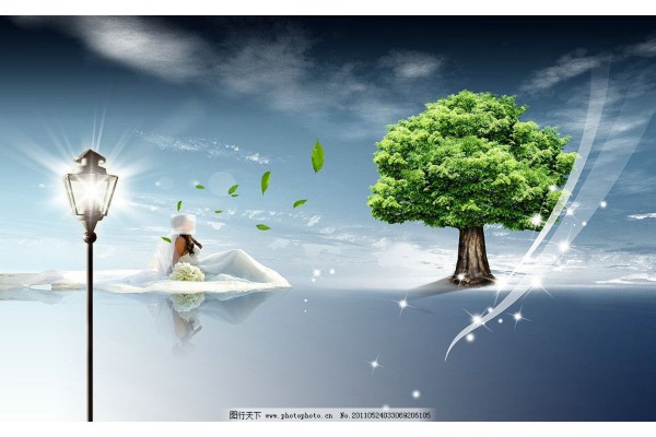 杭州头部按摩之余,品茶佳选:探秘养生茶香 杭州头部按摩之余,品茶佳选:探秘养生茶香